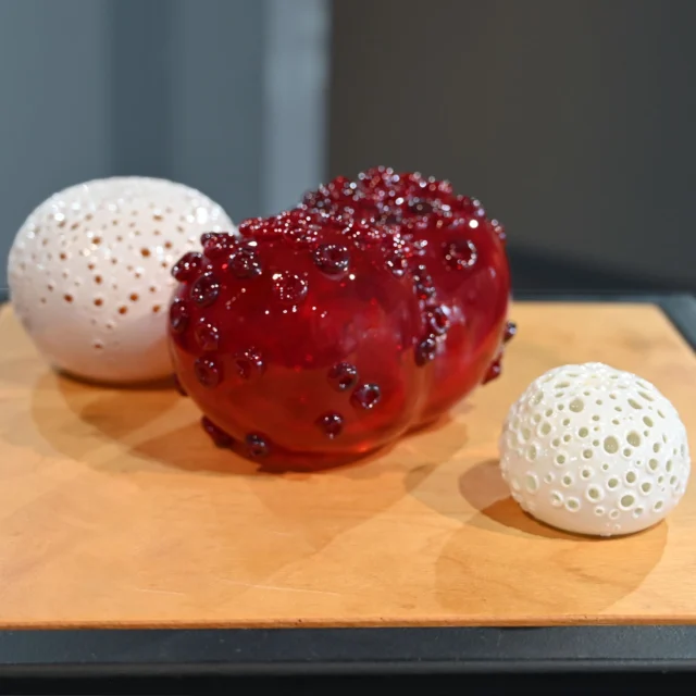 Some more of @karen_willenbrink_johnsen show pieces #neusoleglassworks #coral #glasscoral #coralstudies