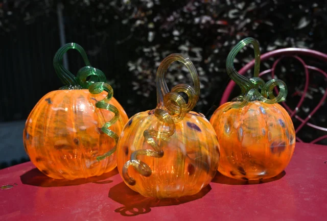 "Gettin' Artsy for Wildlife"
West Wildlife Rescue-Christ Church 965 Forest Ave Glendale,OH
Saturday, Oct 3rd 10:00am-3:00pm

• Artisan Market: Shop handmade arts and crafts including painting, block prints, pottery, sculpture, photography, fiber arts, and jewelry.
• Raffles & Silent Auctions: View one-of-a-kind items and bid on a variety of prizes to benefit the charity.
• Wildlife Ambassadors: Meet live animals up close.
• Food & Treats: Enjoy cookies and sweets while you browse.
All proceeds directly support WEST Wildlife Rehab

We will be vending and have our mobile hotshop
#neusoleglassworks #west #westwildlife #nonprofit