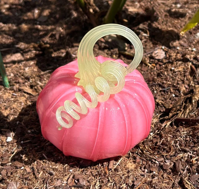 We have beautiful pink pumpkins and gourds in our GiftShop. We also have many more colors. Stop in or order online https://neusole-glassworks.square.site/s/search?page=1&limit=30&sort_by=score&sort_order=desc&q=pumpkins
#neusoleglassworks #pinkpumpkins #everycolorofpumpkins #glasspumpkins #nonprofit