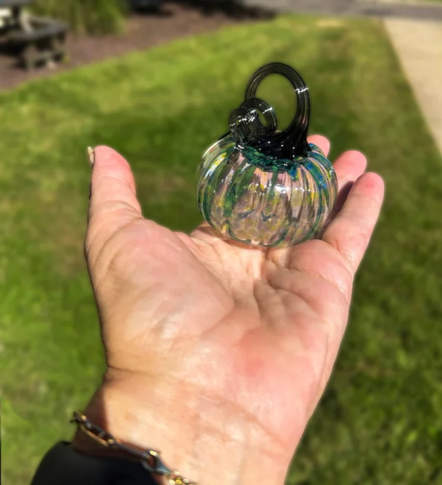 We have baby pumpkins in our GiftShop. Stop by and check them out.
11925 Kempersprings Drive, Forest Park Ohio, 45240
Monday through Thursday 10am - 6pm
Friday, Saturday and Sunday 10am - 8pm

#neusoleglassworks #babypumpkins #babyglasspumpkins #cute
#nonprofit #cincinnati #forestpark #wintonwoods